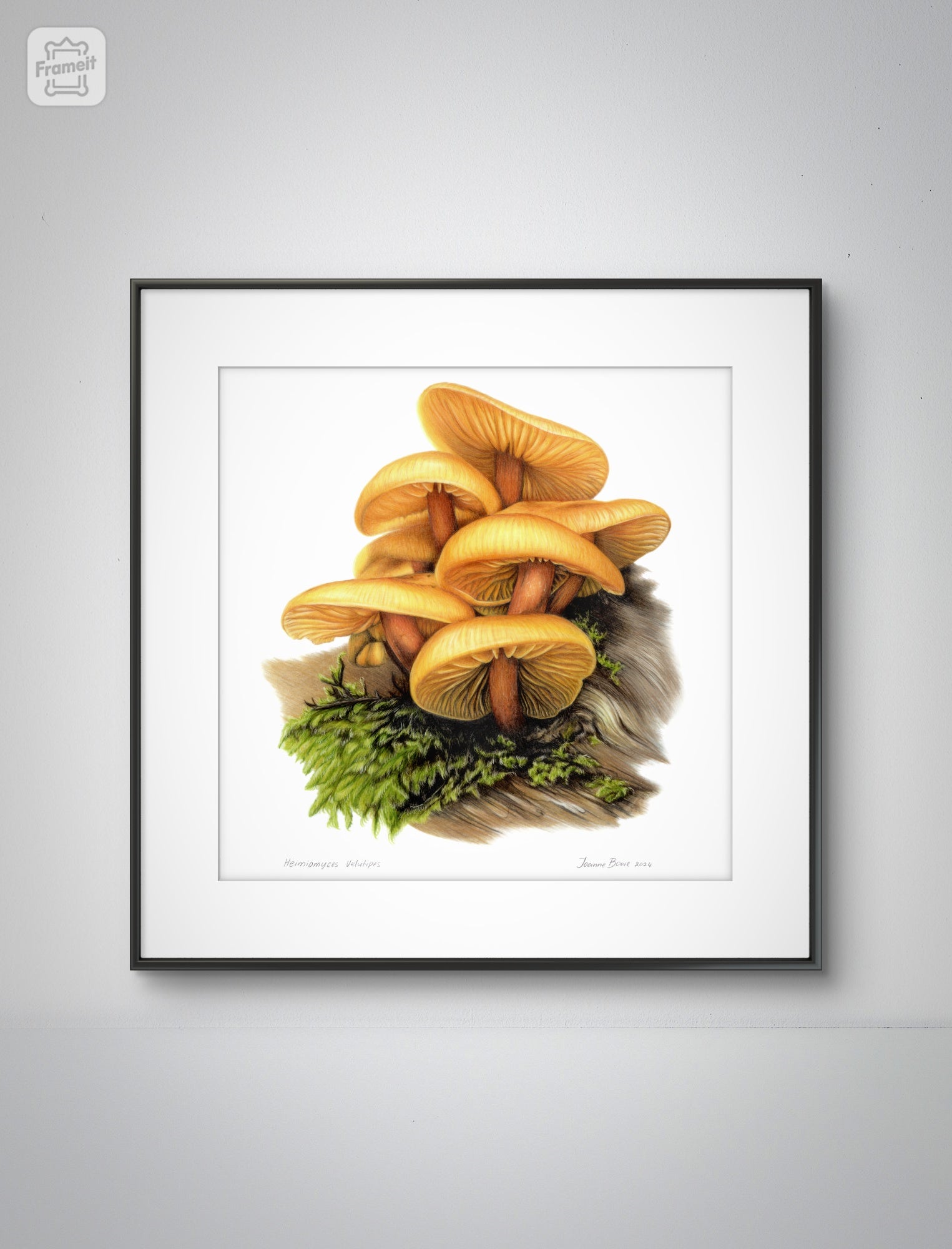 Heimiomyces velutipes open edition art print styled in a calm home interior setting