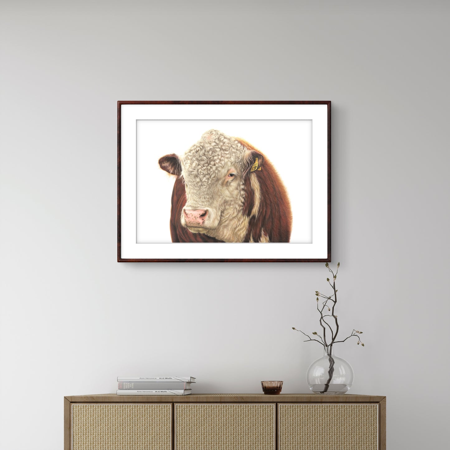 hereford bull art print. colour pencil drawing by new zealand artist joanne bowe