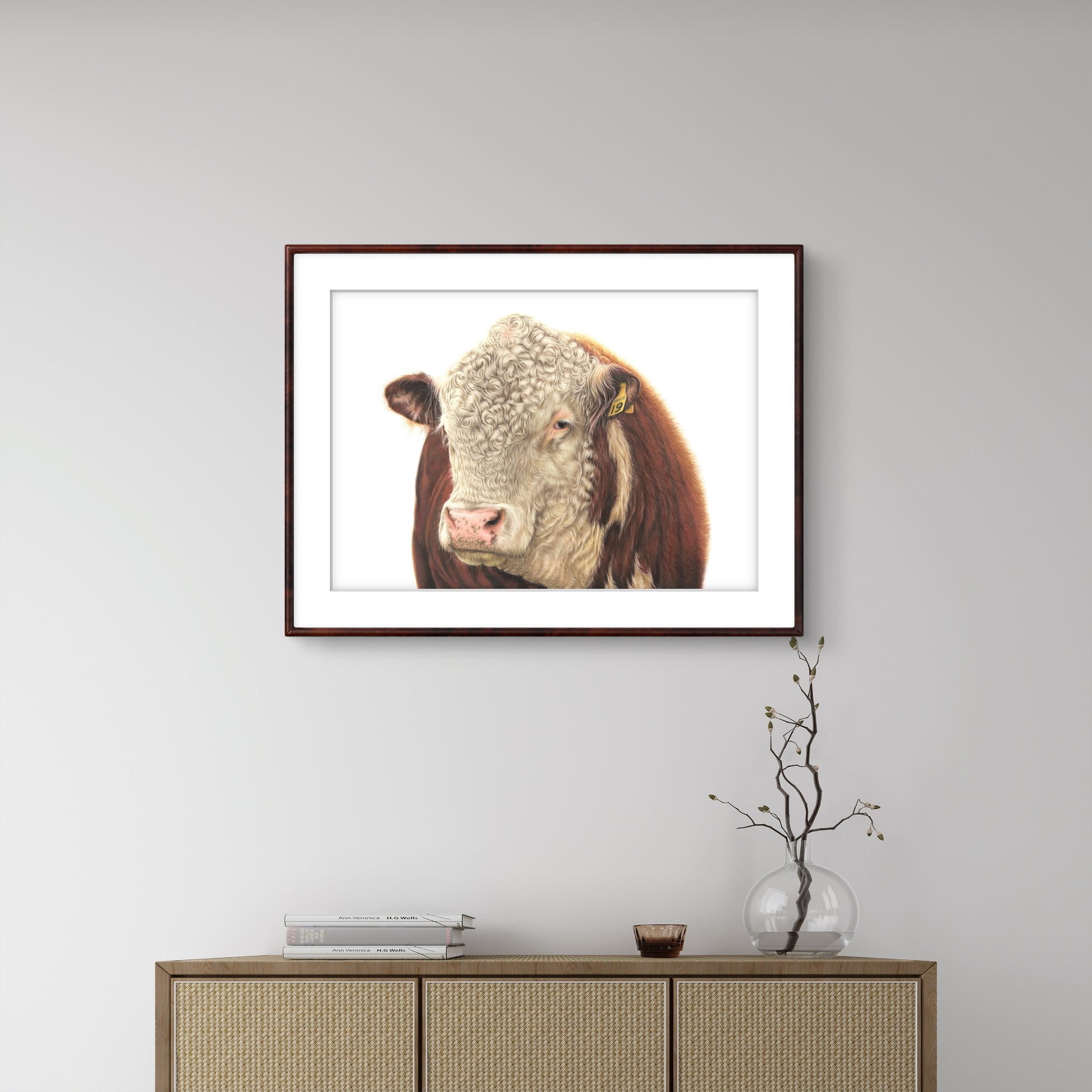 hereford bull art print. colour pencil drawing by new zealand artist joanne bowe