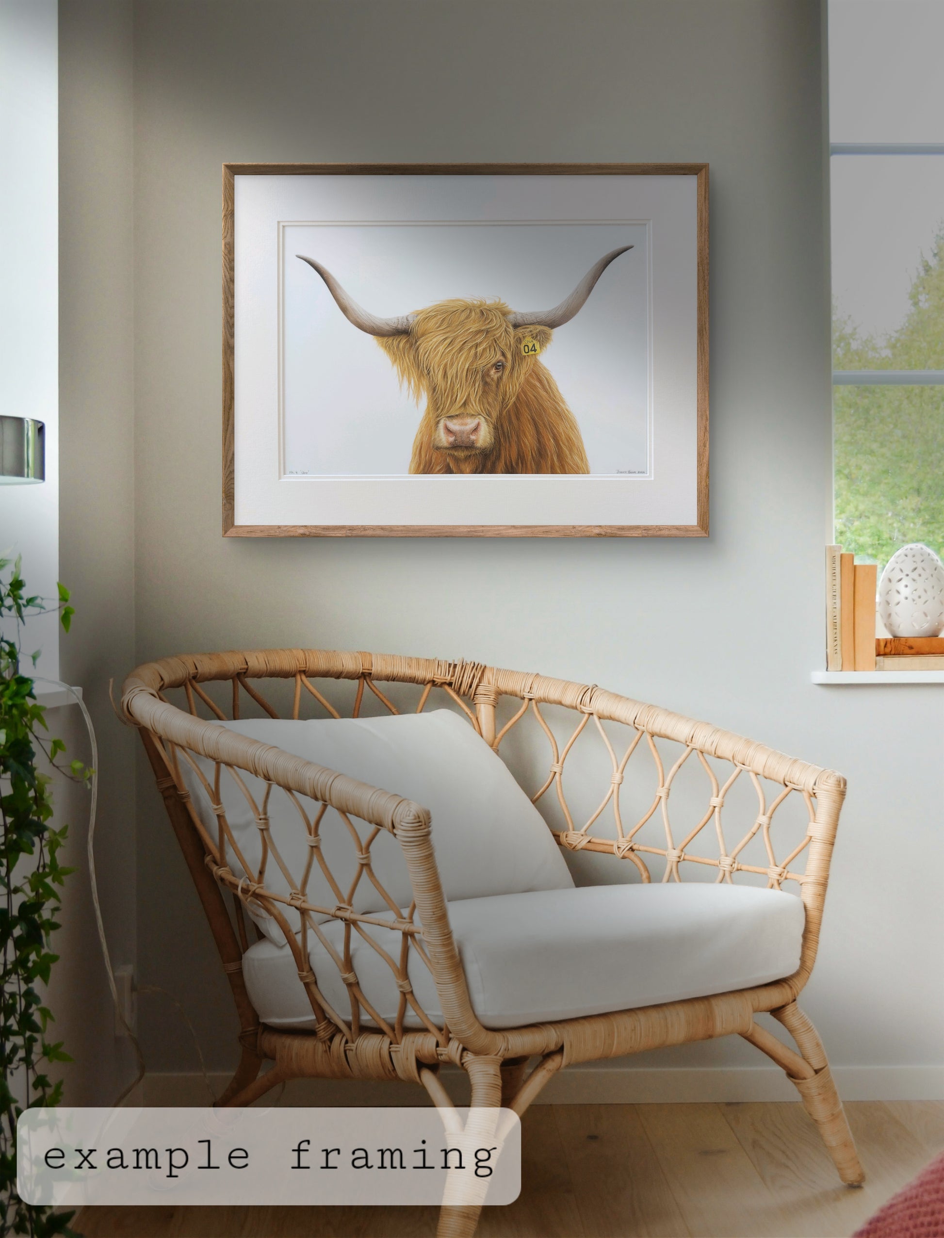 highland cow art, colour pencil drawing artwork by joanne bowe