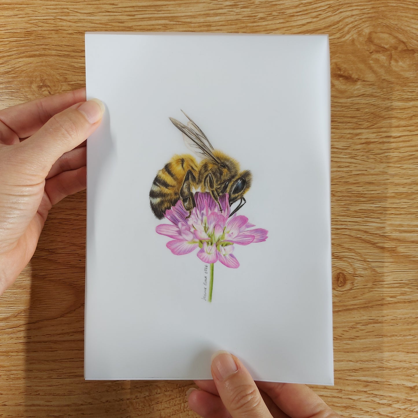 Small A5 drawing of a honey bee on clover flower  held in hands to show artwork size