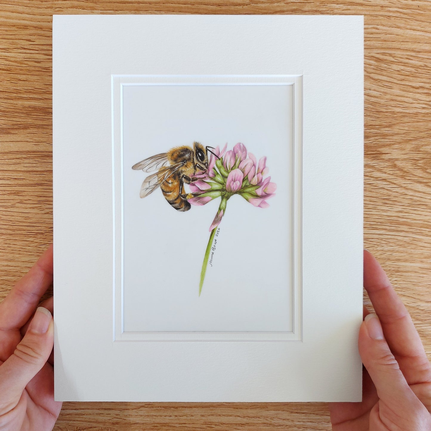 matted honey bee on clover artwork coloured pencil drawing held in hands