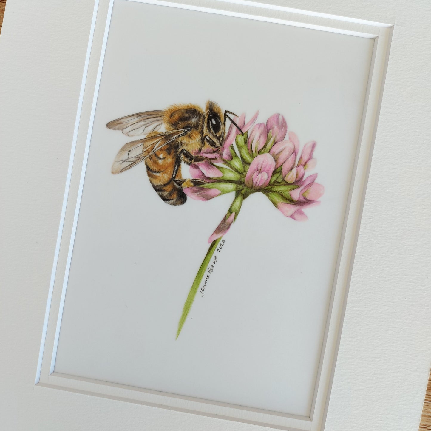 close up view of honey bee on clover drawing