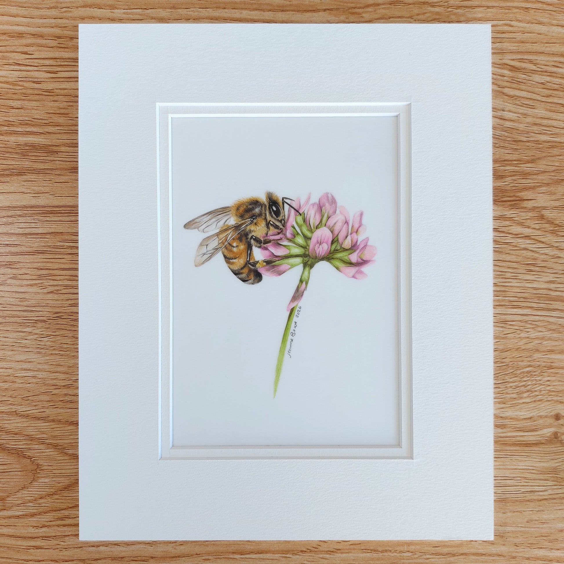 honey bee on clover matted drawing ready for framing