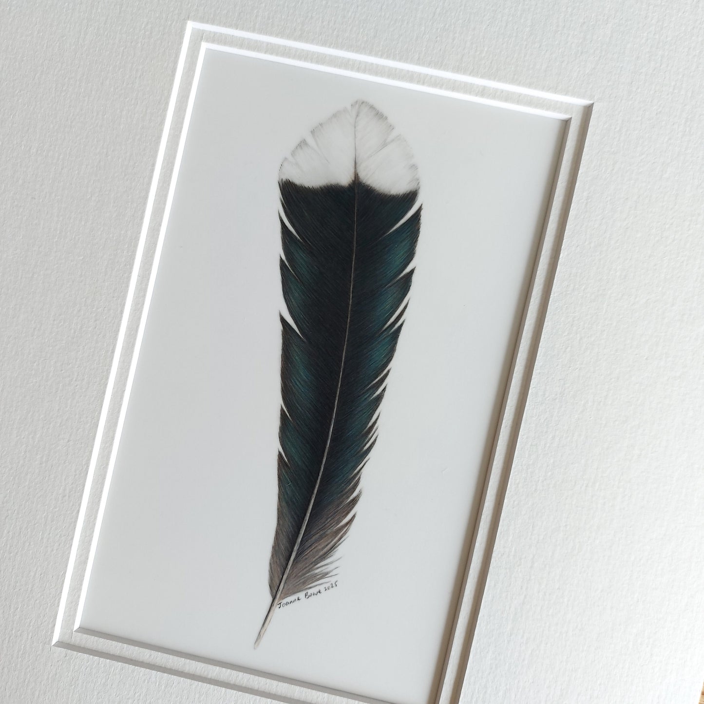 Original huia feather artwork shown with a complementary double mat, ready for framing.