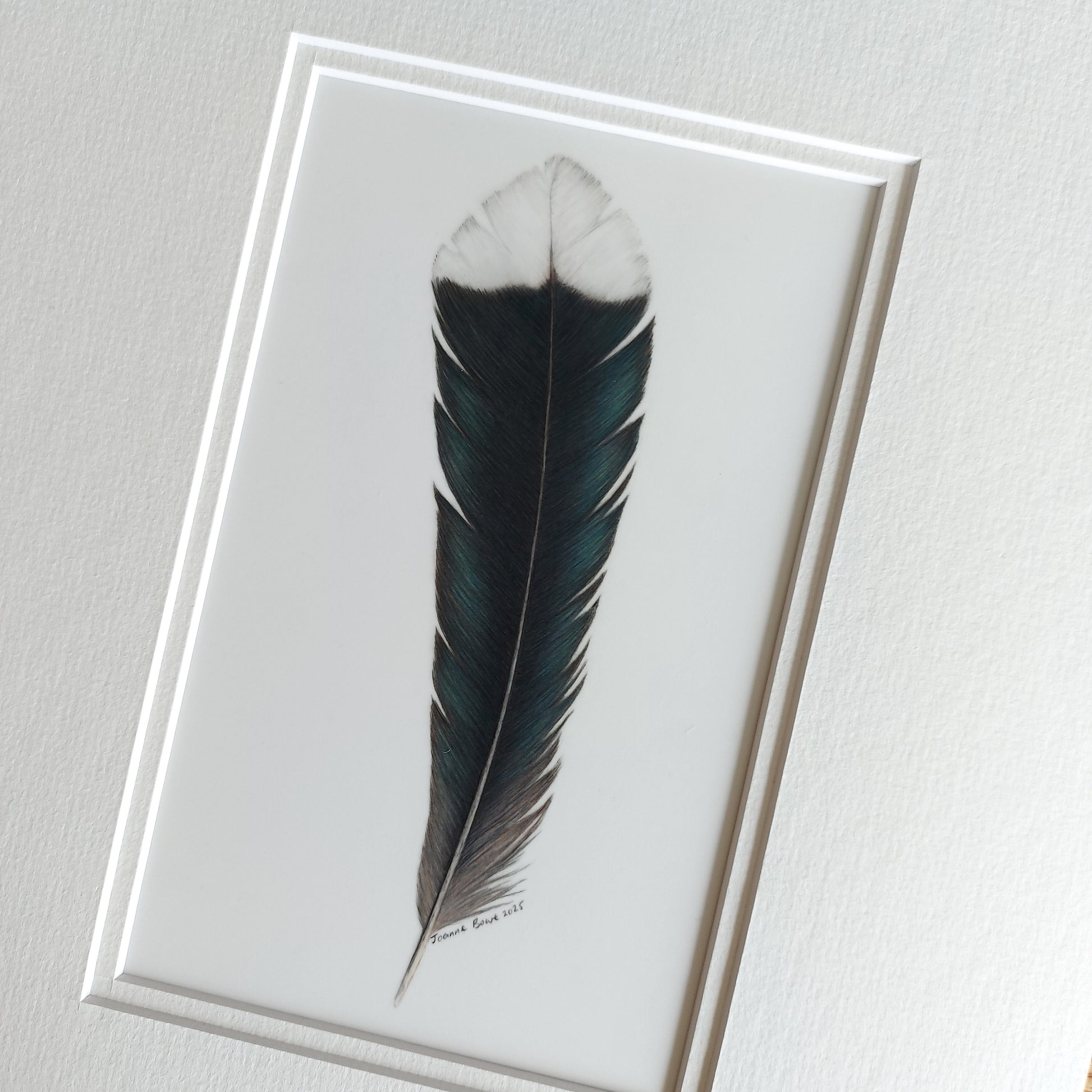 Original huia feather artwork shown with a complementary double mat, ready for framing.