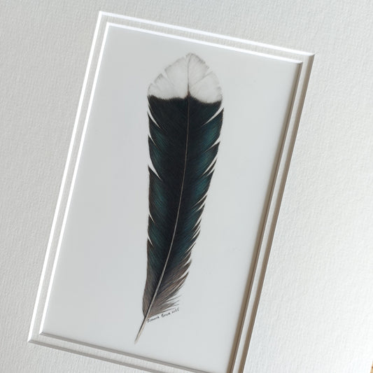Original huia feather artwork shown with a complementary double mat, ready for framing.