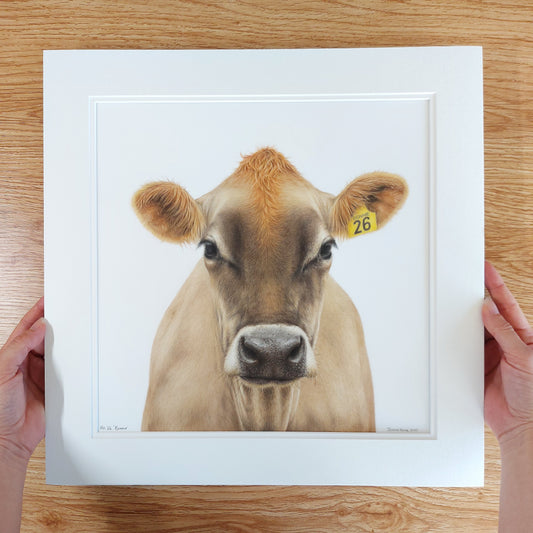 jersey cow face drawing
