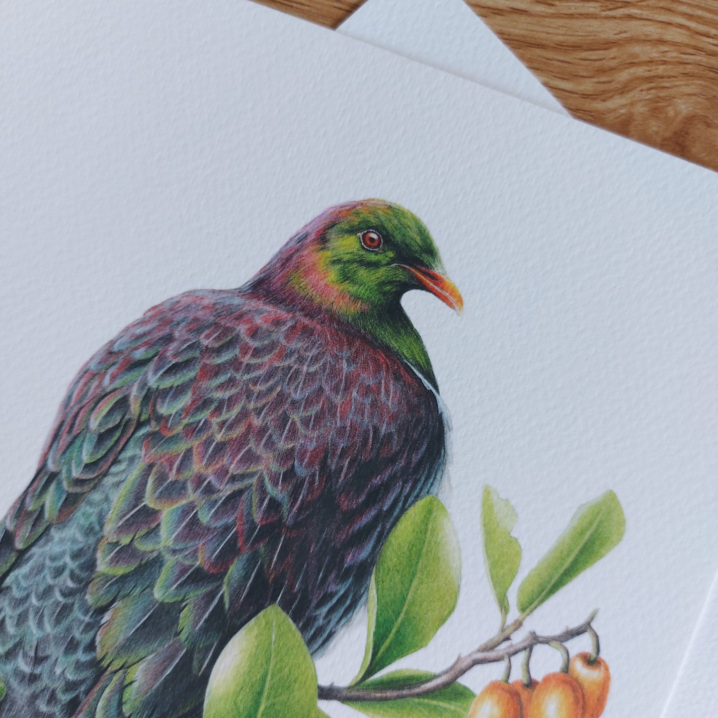 Close-up detail of coloured pencil texture in Kererū on Karaka art print