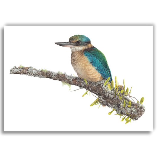 Limited edition fine art print of Kingfisher’s Lookout, coloured pencil artwork by Joanne Bowe