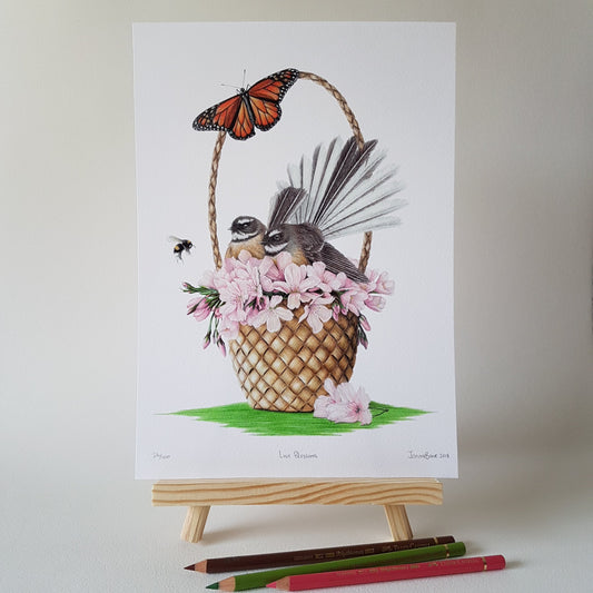 Hand-signed and numbered limited edition Love Blossoms fantail art print by Joanne Bowe