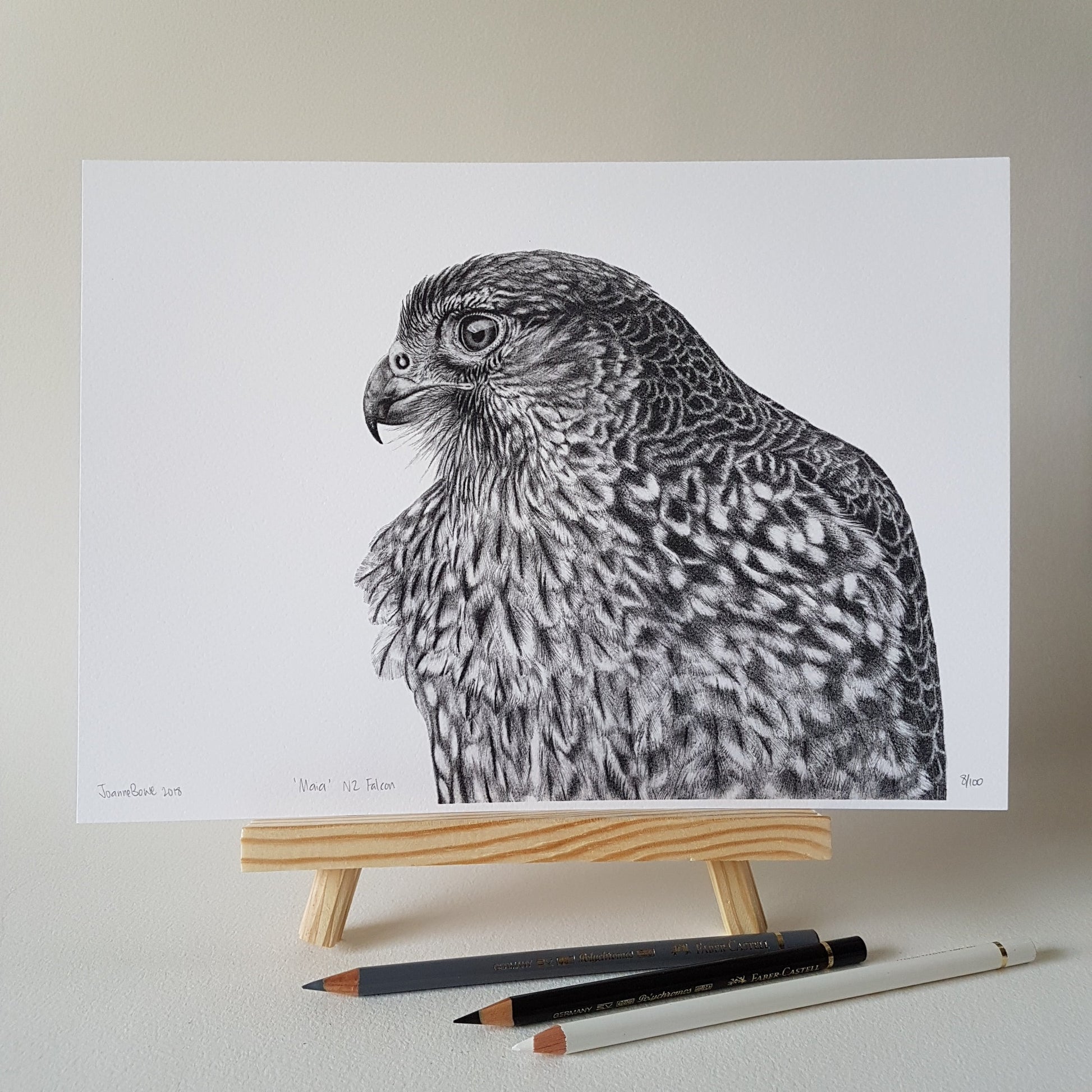 Hand-signed and numbered limited edition graphite art print of Maia the NZ falcon