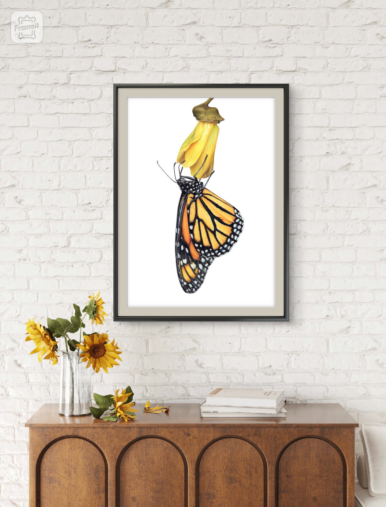 Monarch on Kōwhai limited edition art print displayed in an interior setting