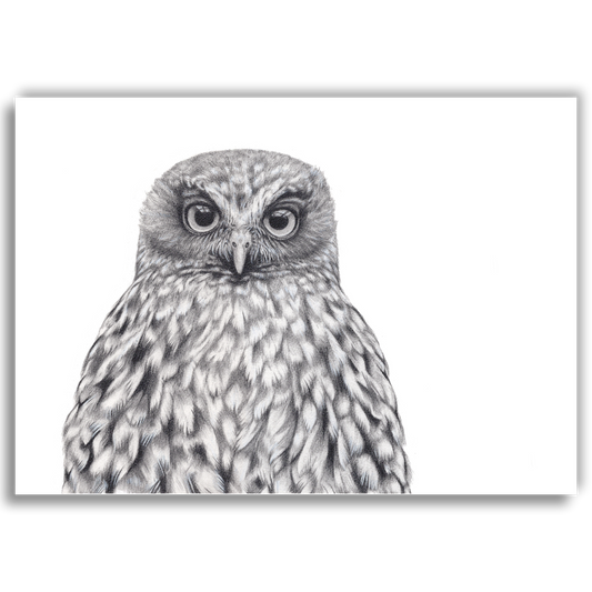 Limited edition black and white graphite art print of a New Zealand morepork by Joanne Bowe