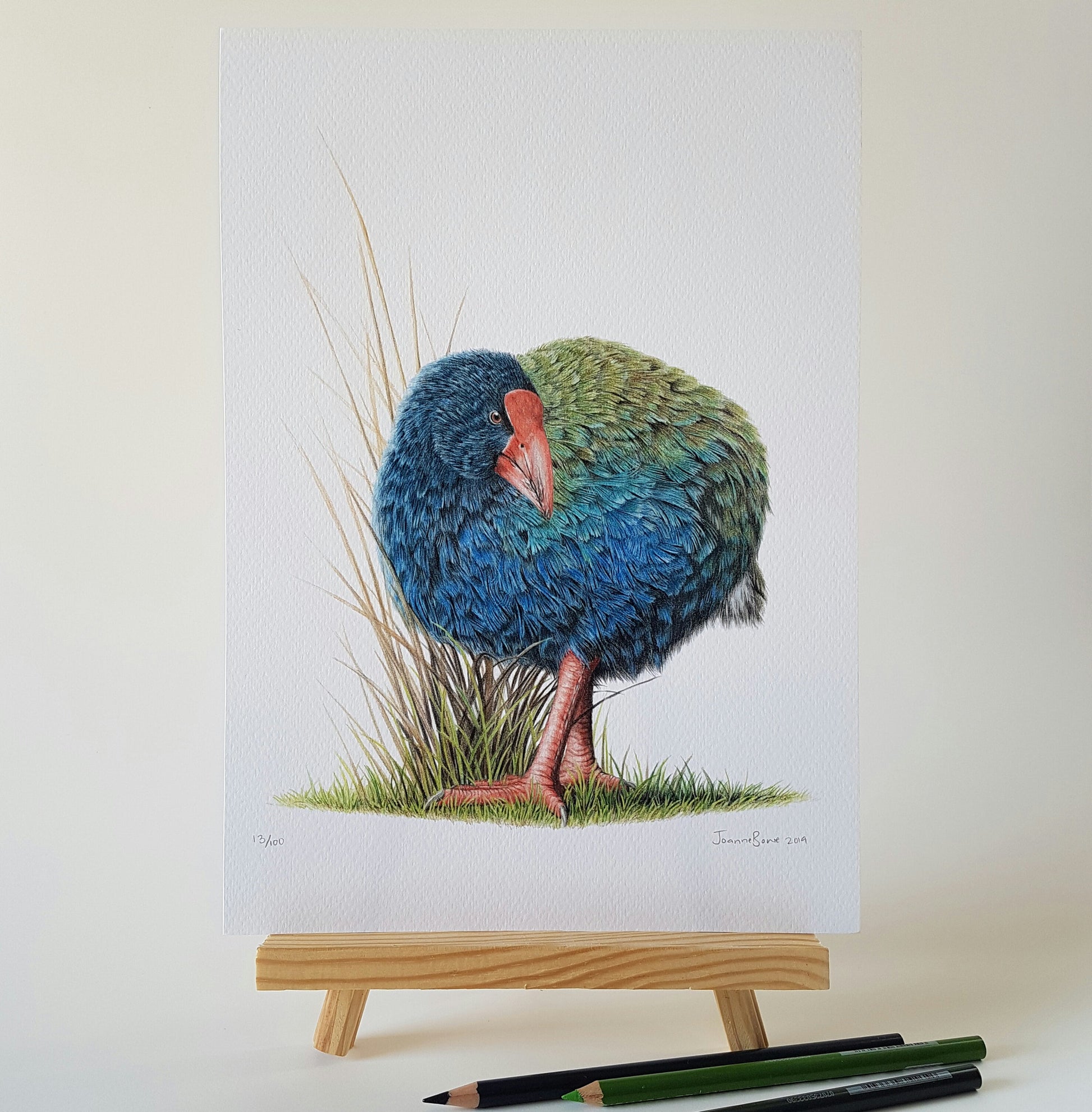 Close-up detail of coloured pencil texture in Takahē Among Tussock art print