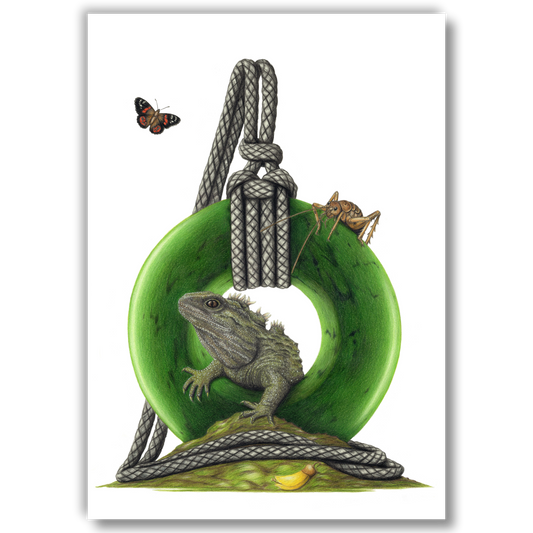 Limited edition art print of The Circle of Life featuring tuatara, giant wētā and red admiral butterfly, coloured pencil artwork by Joanne Bowe