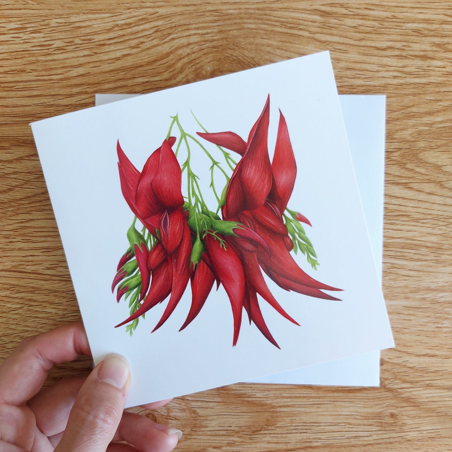 Greeting card featuring a coloured pencil illustration of a New Zealand kakabeak flower