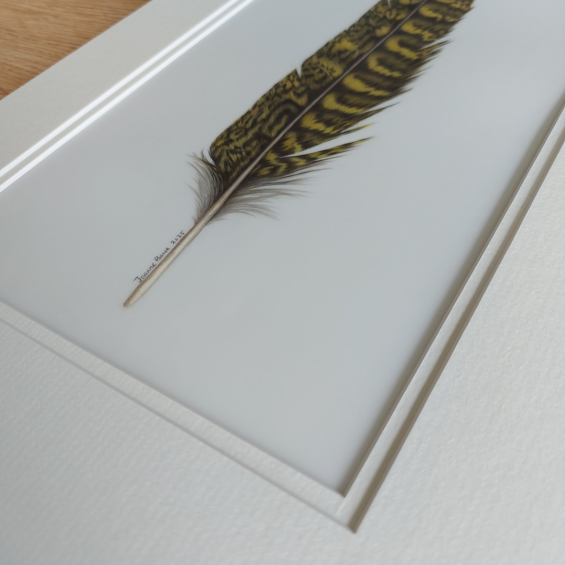 Angled view of the original kākāpō tail feather artwork, showing surface texture and tonal depth.