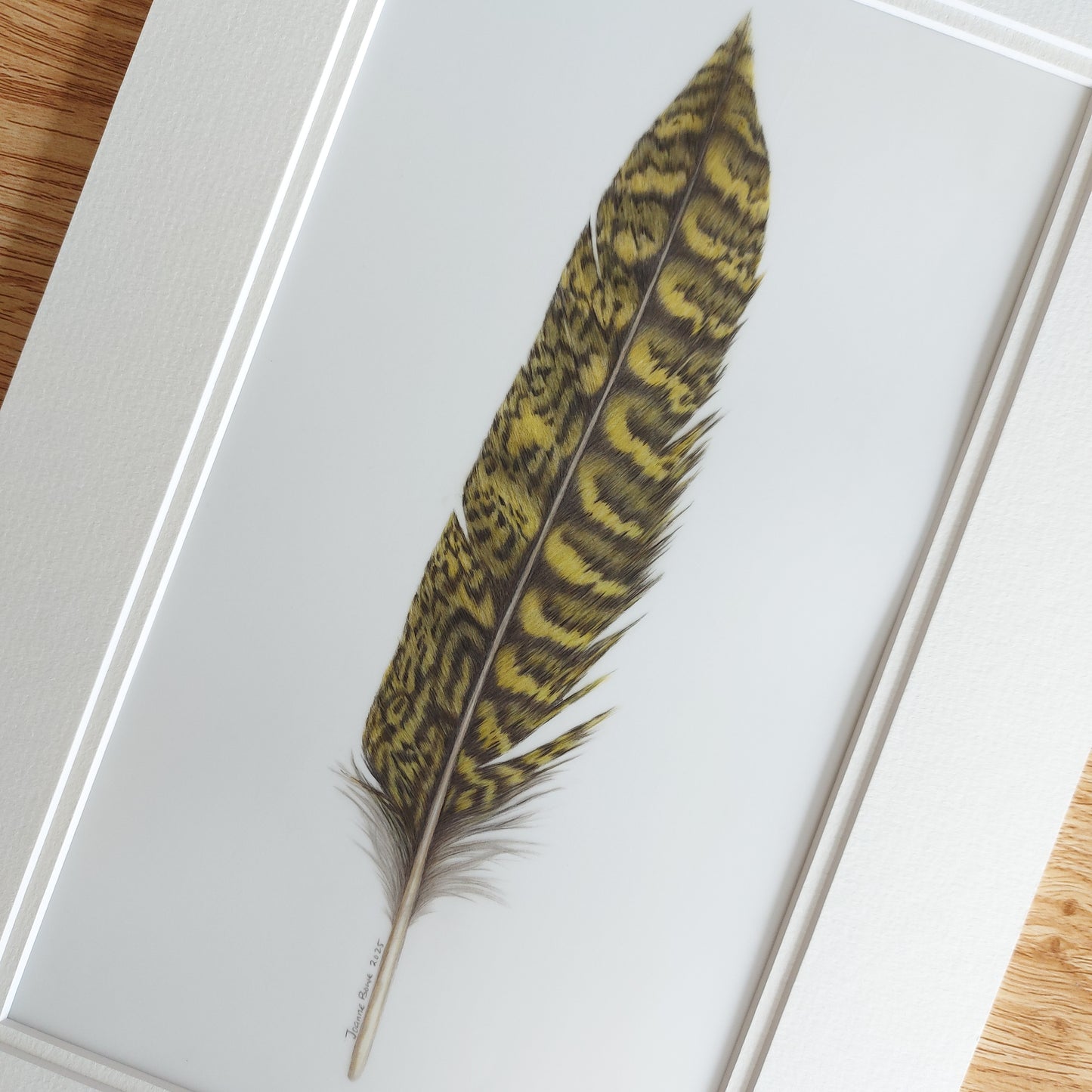 Original kākāpō tail feather artwork shown with a complementary double mat, ready for framing.