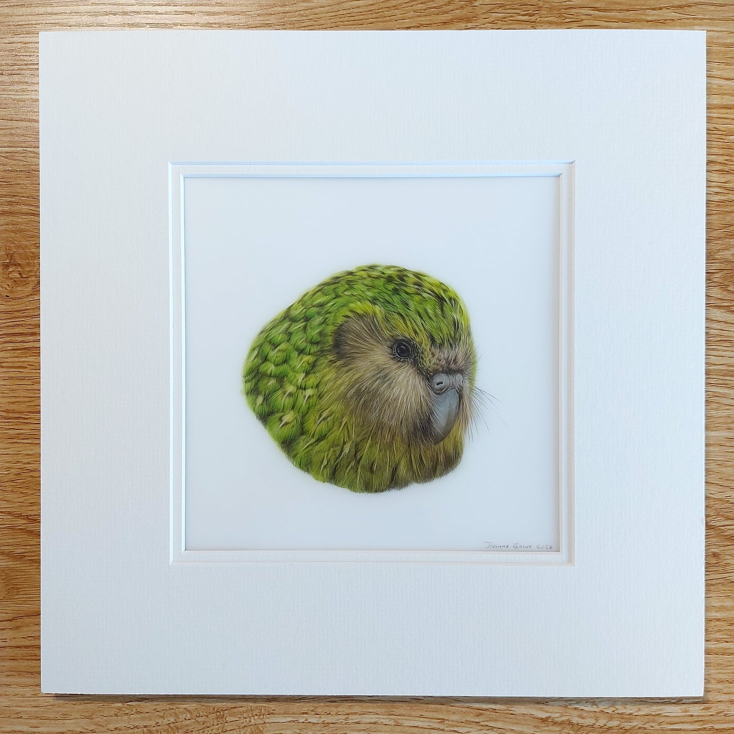 Original coloured pencil kākāpō artwork shows the mounted size and presentation.