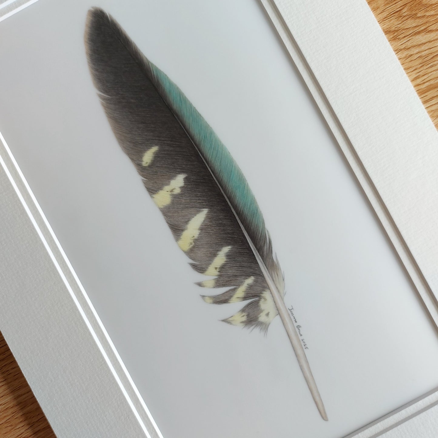 Original kea feather artwork shown with a complementary double mat, ready for framing.