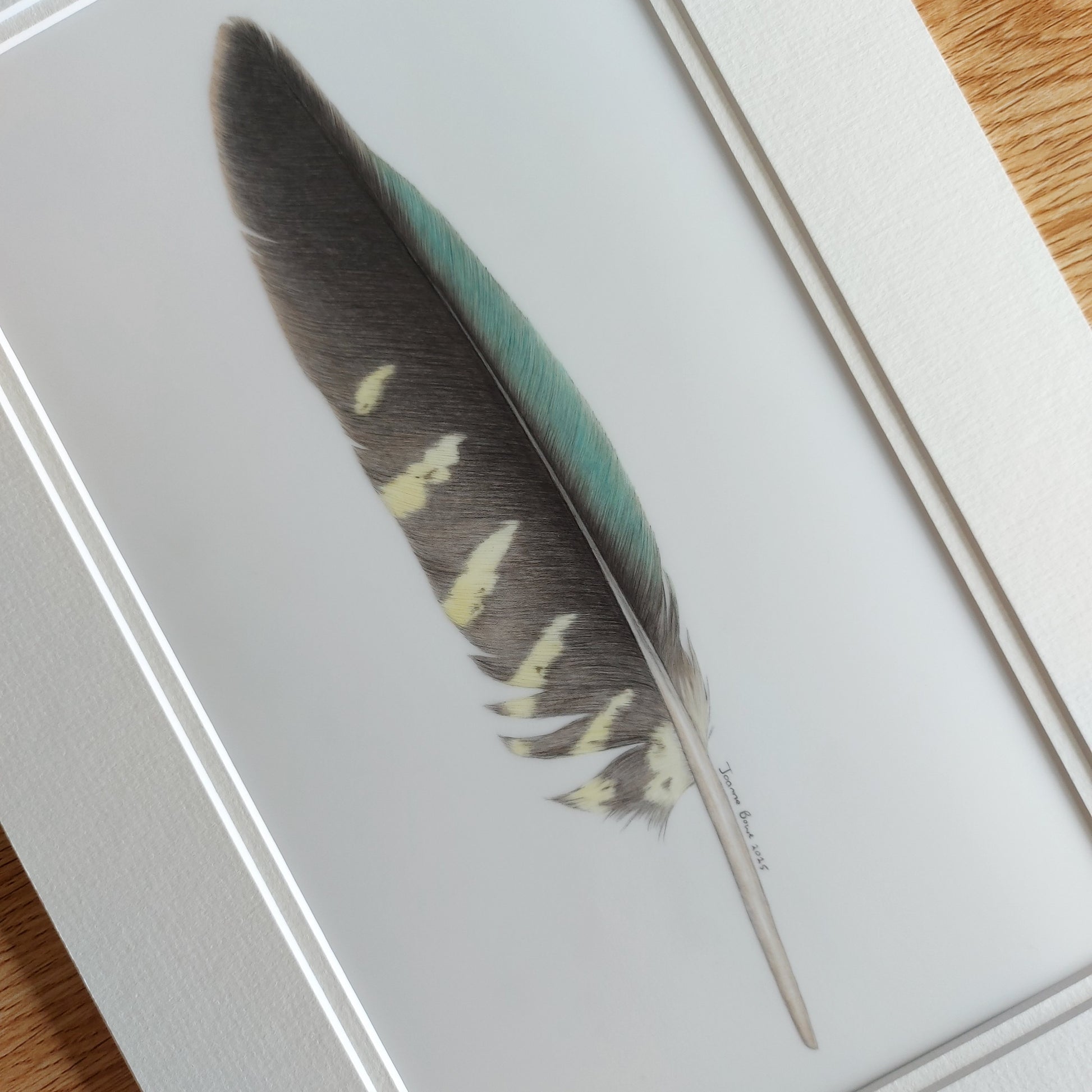 Original kea feather artwork shown with a complementary double mat, ready for framing.