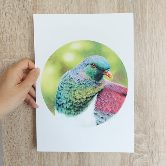 Detail of coloured pencil artwork showing feather texture and form of a kererū.