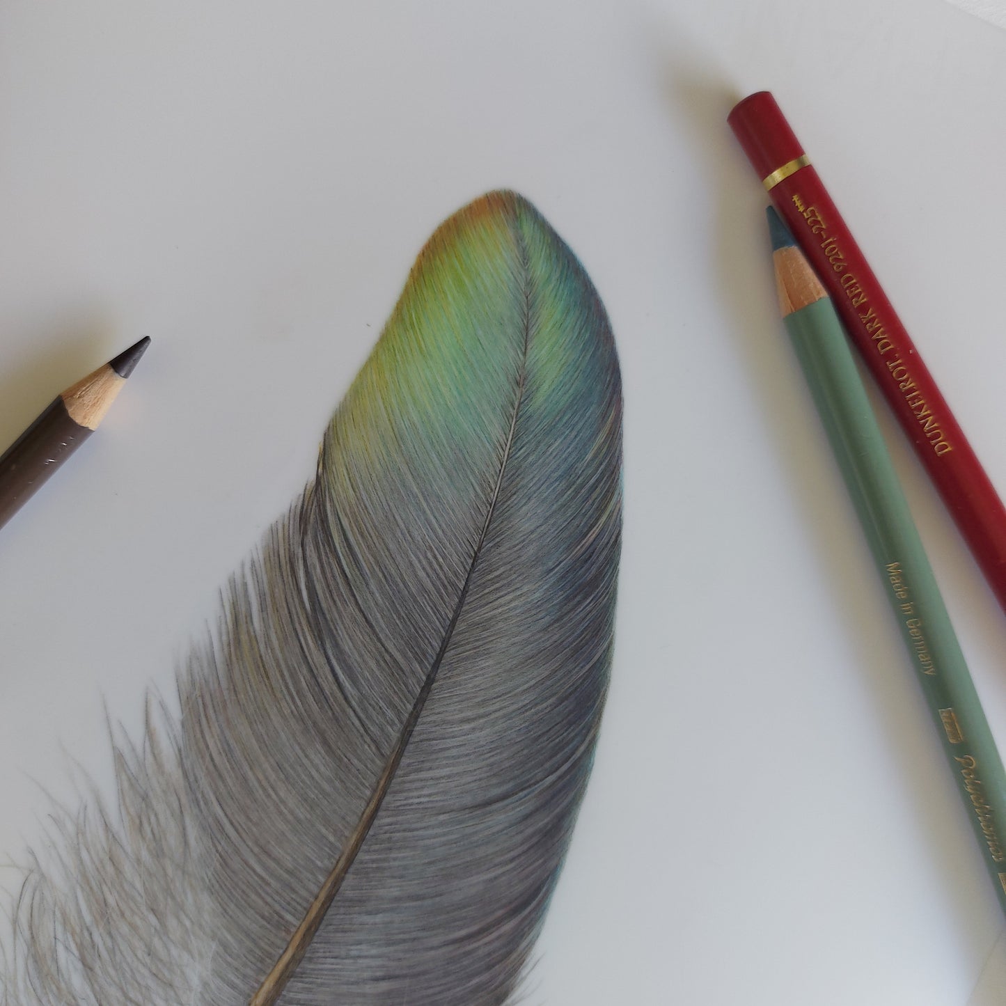 Angled view of the original kererū feather artwork, showing surface texture and tonal variation.