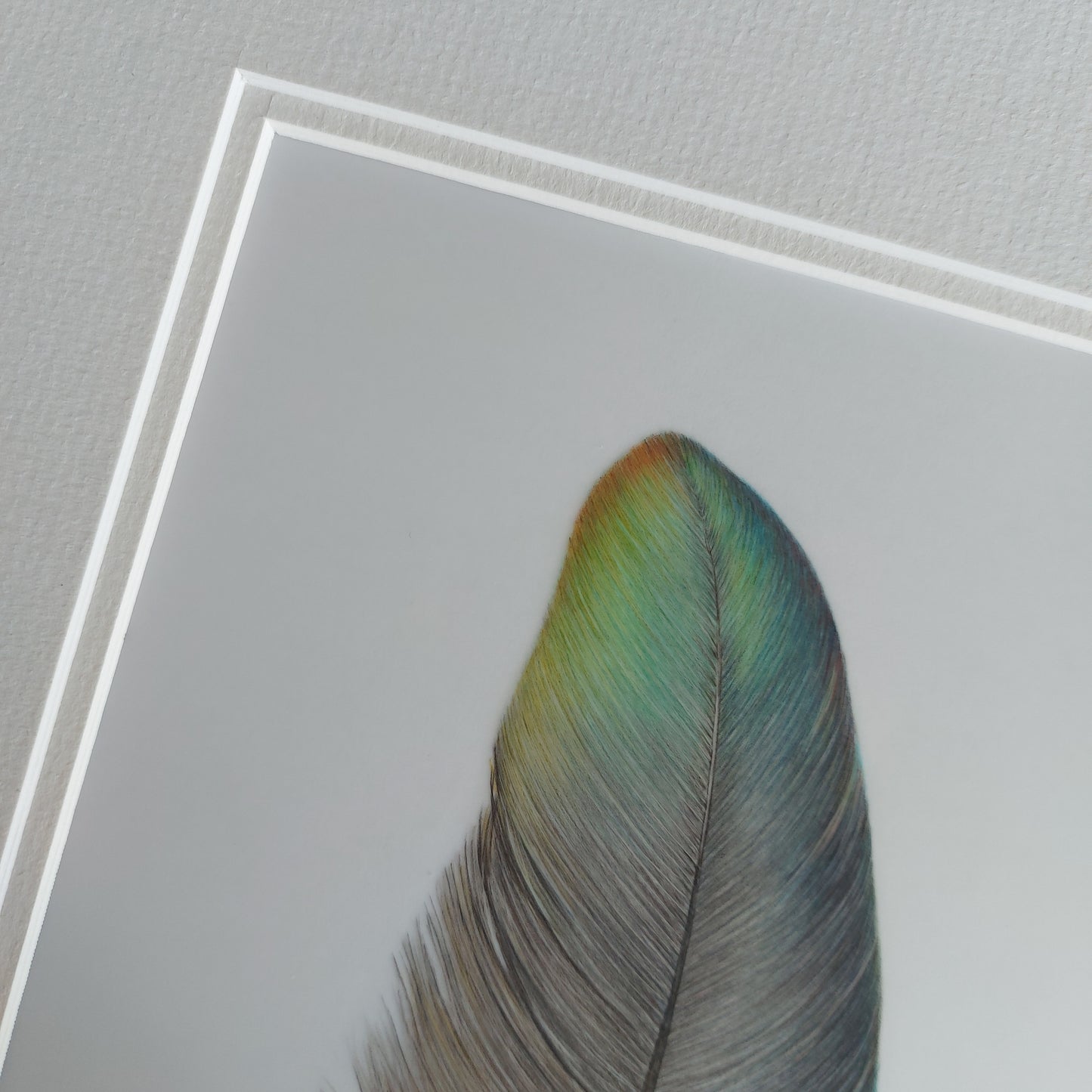 Original kererū feather artwork shown with a complementary double mat, ready for framing.