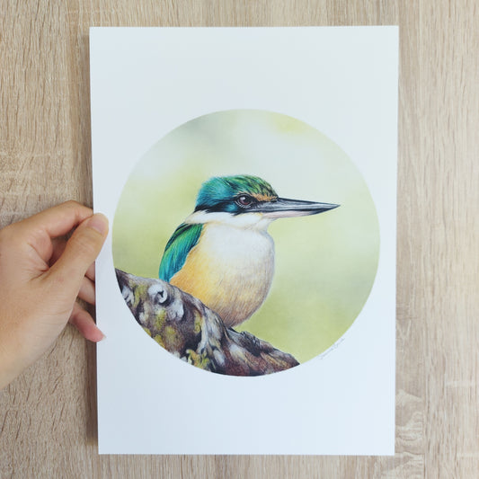 Detail of coloured pencil artwork showing feather texture and form of a kingfisher.