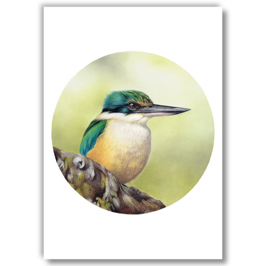 Open edition fine art print of a kingfisher, reproduced from an original coloured pencil drawing.
