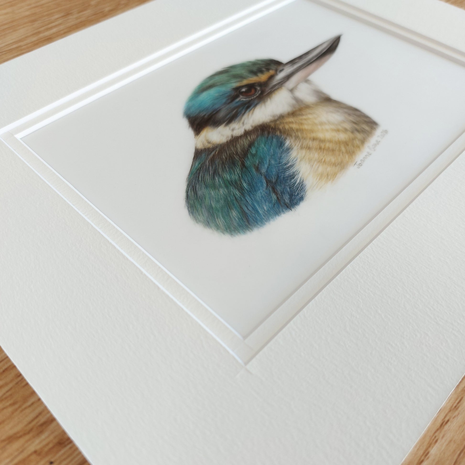 Angled view Original coloured pencil drawing of a New Zealand kingfisher by New Zealand artist Joanne Bowe.