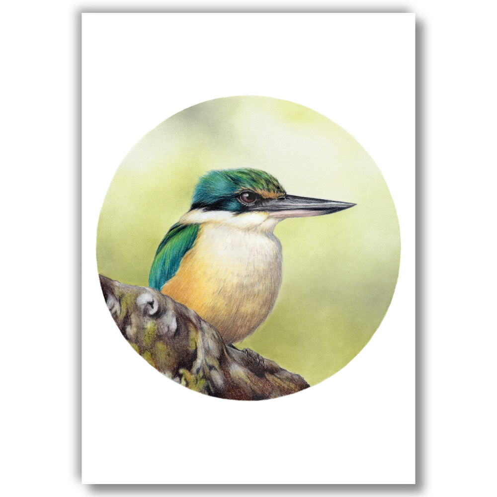 Kingfisher — Open Edition Art Print (Studio Clearout)