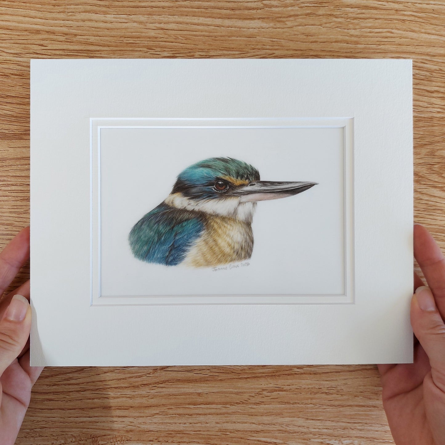 Original coloured pencil drawing of a New Zealand kingfisher by New Zealand artist Joanne Bowe.