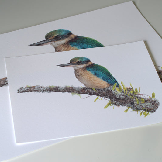 Kingfisher’s Lookout — Limited Edition Art Print