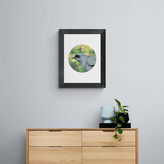 Kōkako open edition art print styled in a calm home interior setting, showing scale and presentation.