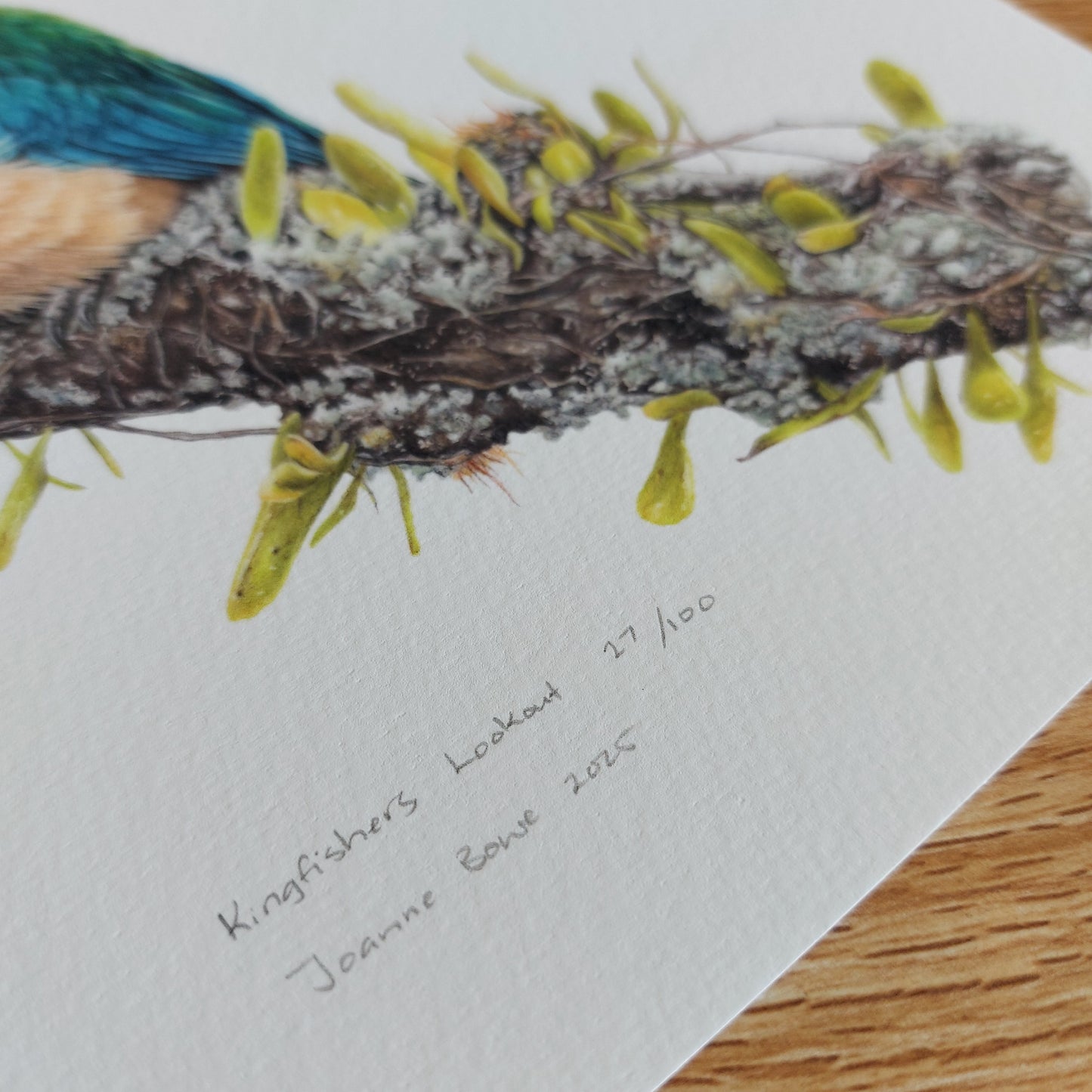 Close-up of the artist’s signature on the kōtare (New Zealand kingfisher) open edition art print.