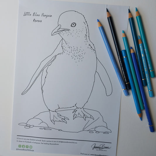 little blue penguin colouring in page