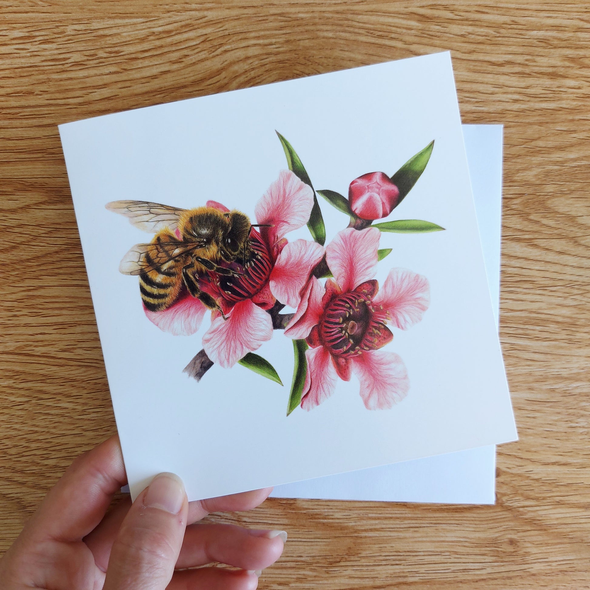 Greeting card featuring a coloured pencil illustration of a New Zealand manuka flower and honey bee
