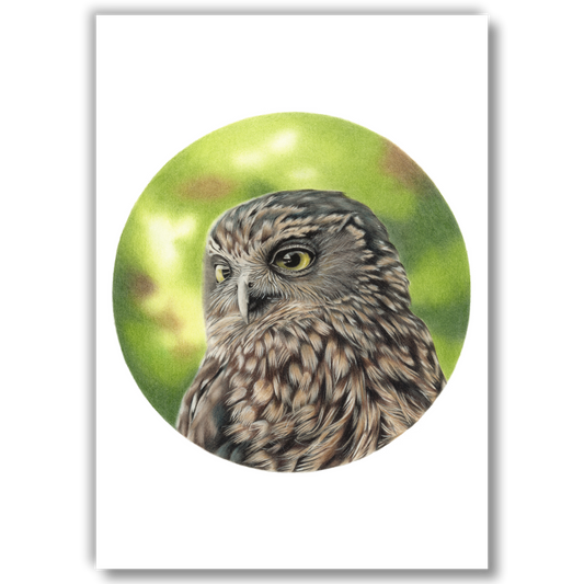 Open edition fine art print of a morepork (ruru), reproduced from an original coloured pencil drawing.