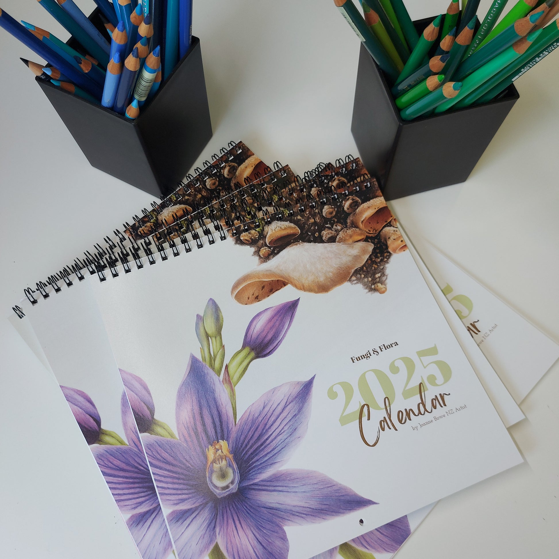 new zealand art calendar 2025 