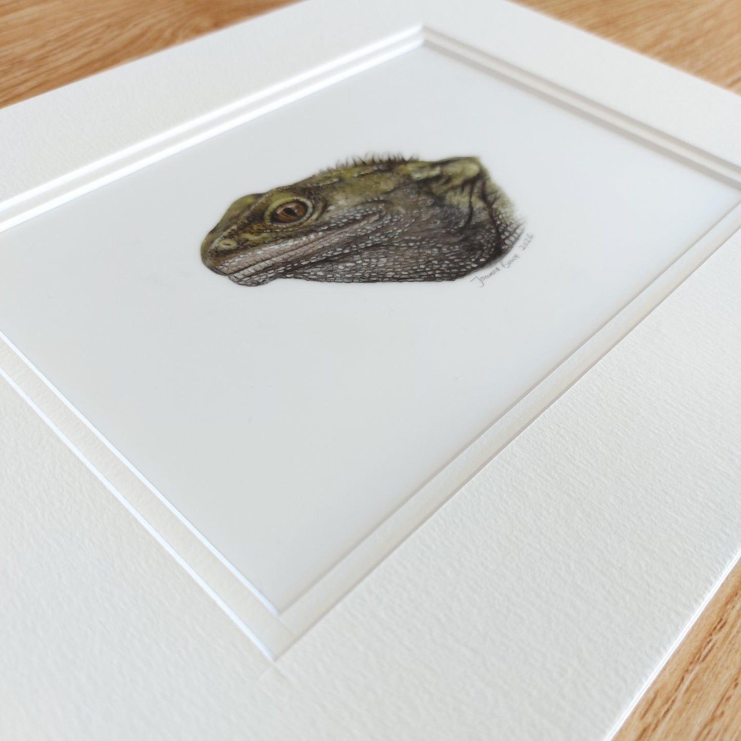angled view tuatara coloured pencil drawing by New Zealand artist Joanne Bowe