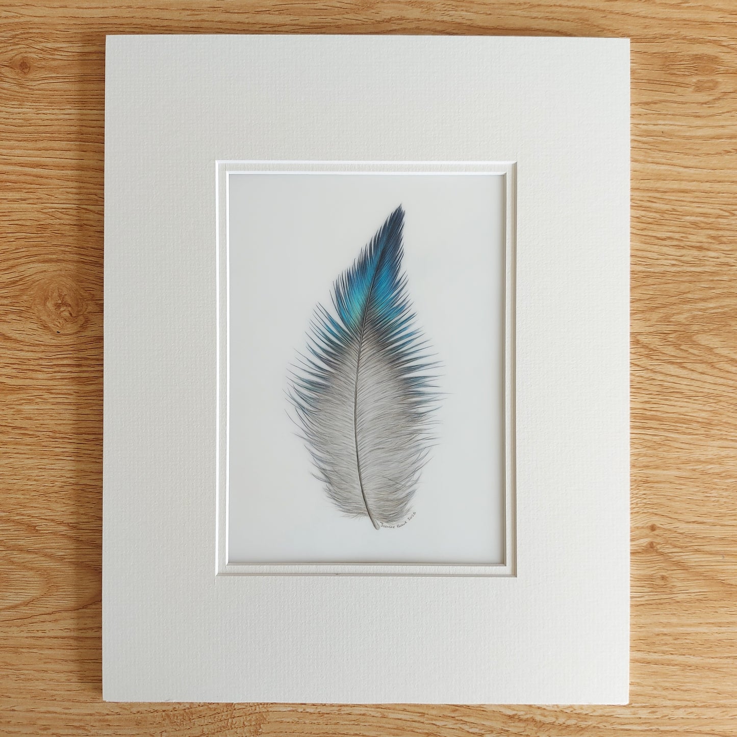 Original coloured pencil artwork of a tūī feather, showing soft texture and subtle tonal detail.