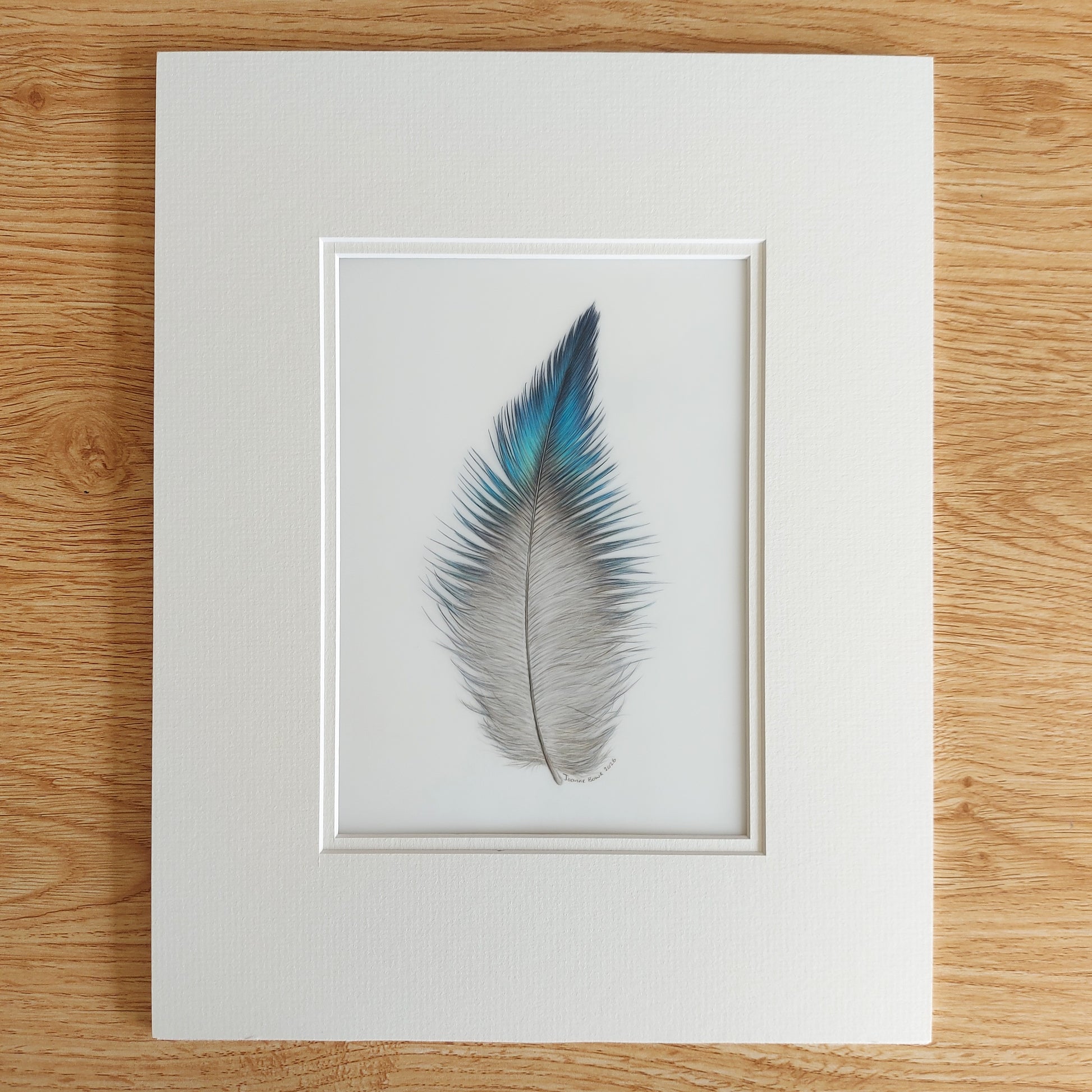 Original coloured pencil artwork of a tūī feather, showing soft texture and subtle tonal detail.