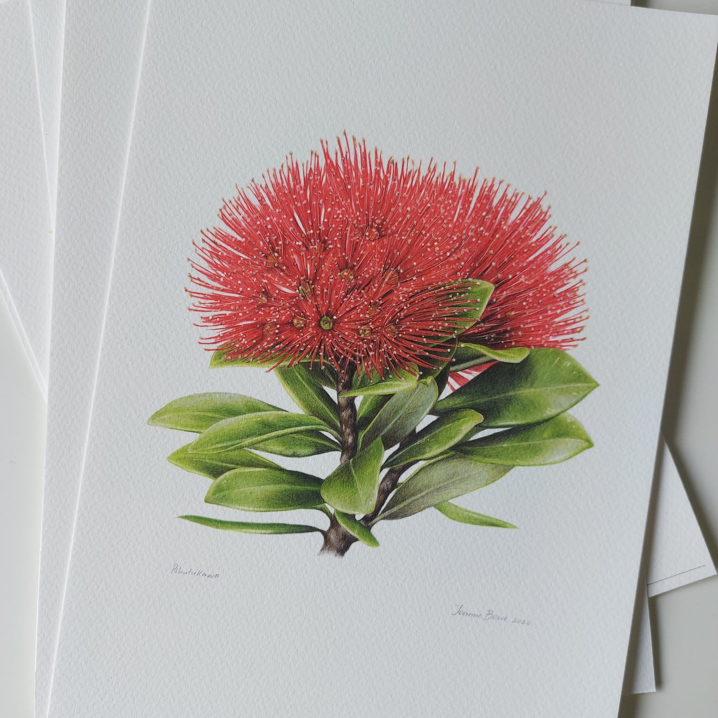 Detail of coloured pencil artwork showing red pōhutukawa flowers in the open edition art print.