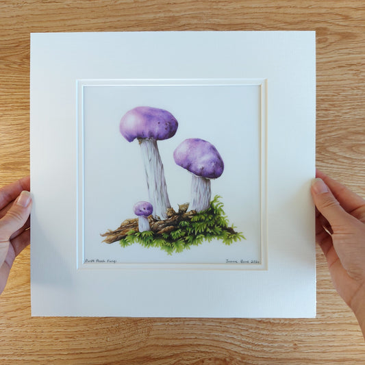 purple pouch fungi original pencil drawing