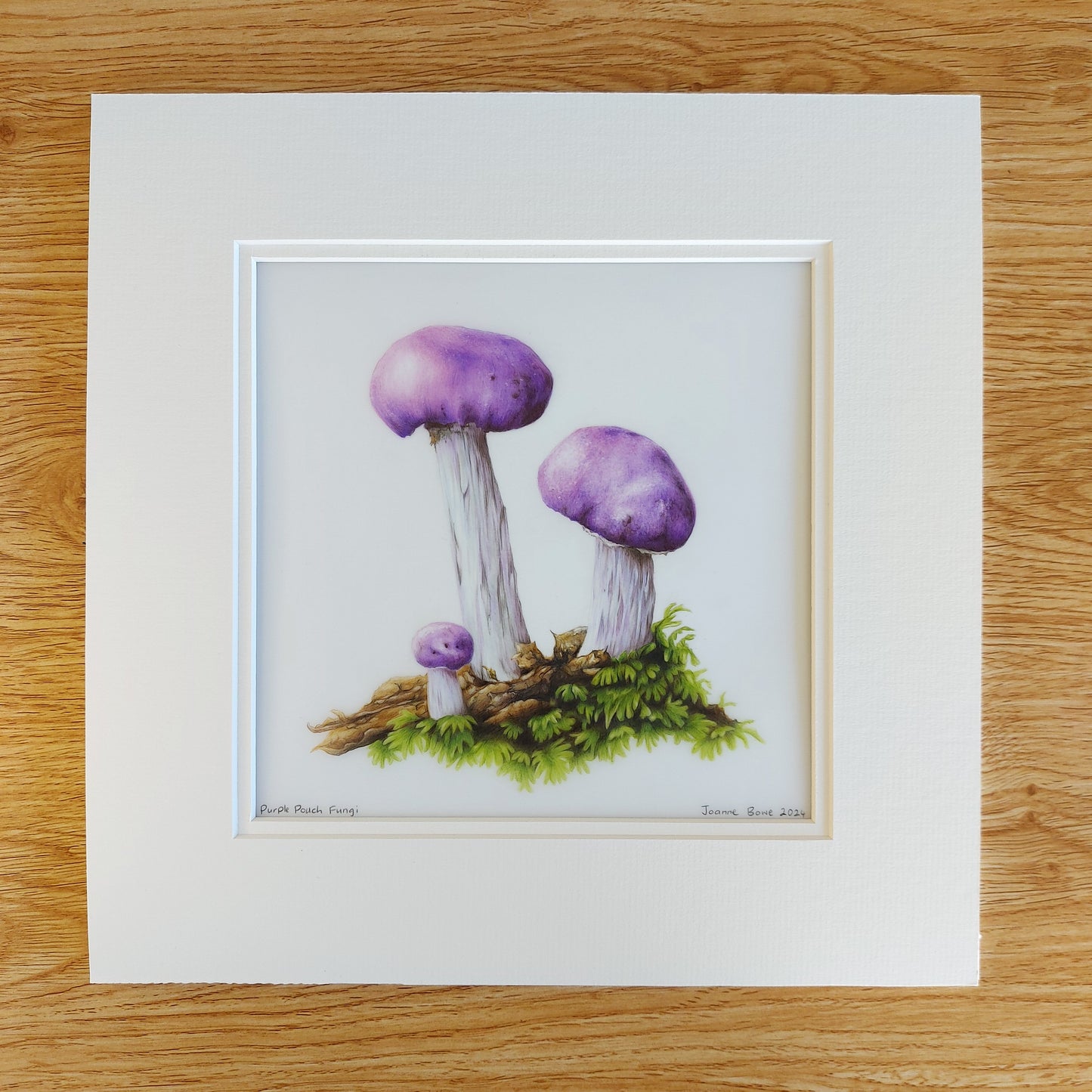 purple pouch fungi original pencil drawing