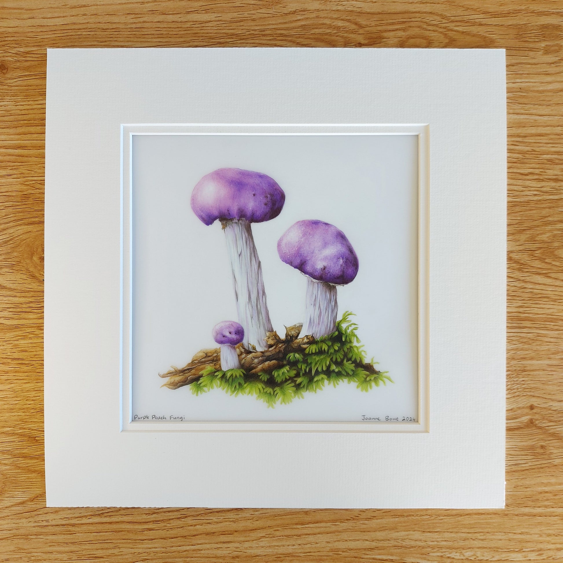purple pouch fungi original pencil drawing