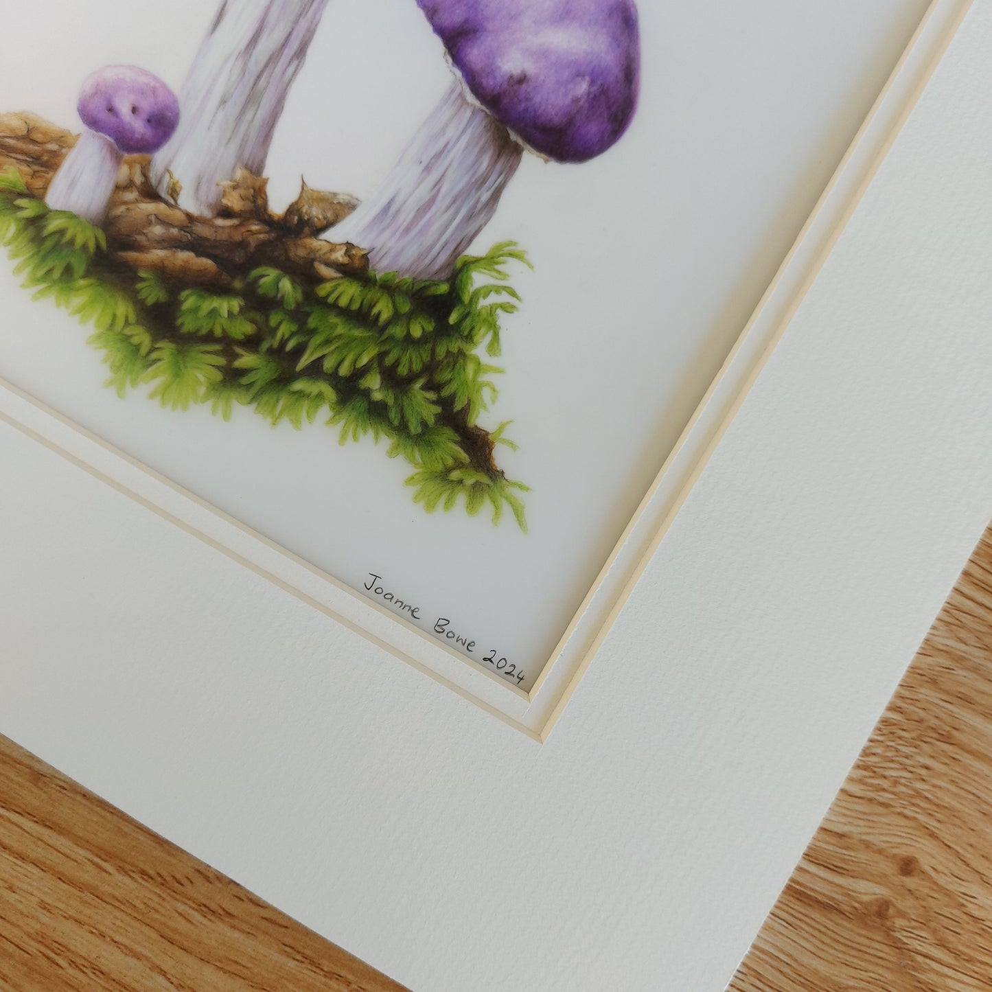 purple pouch fungi original pencil drawing