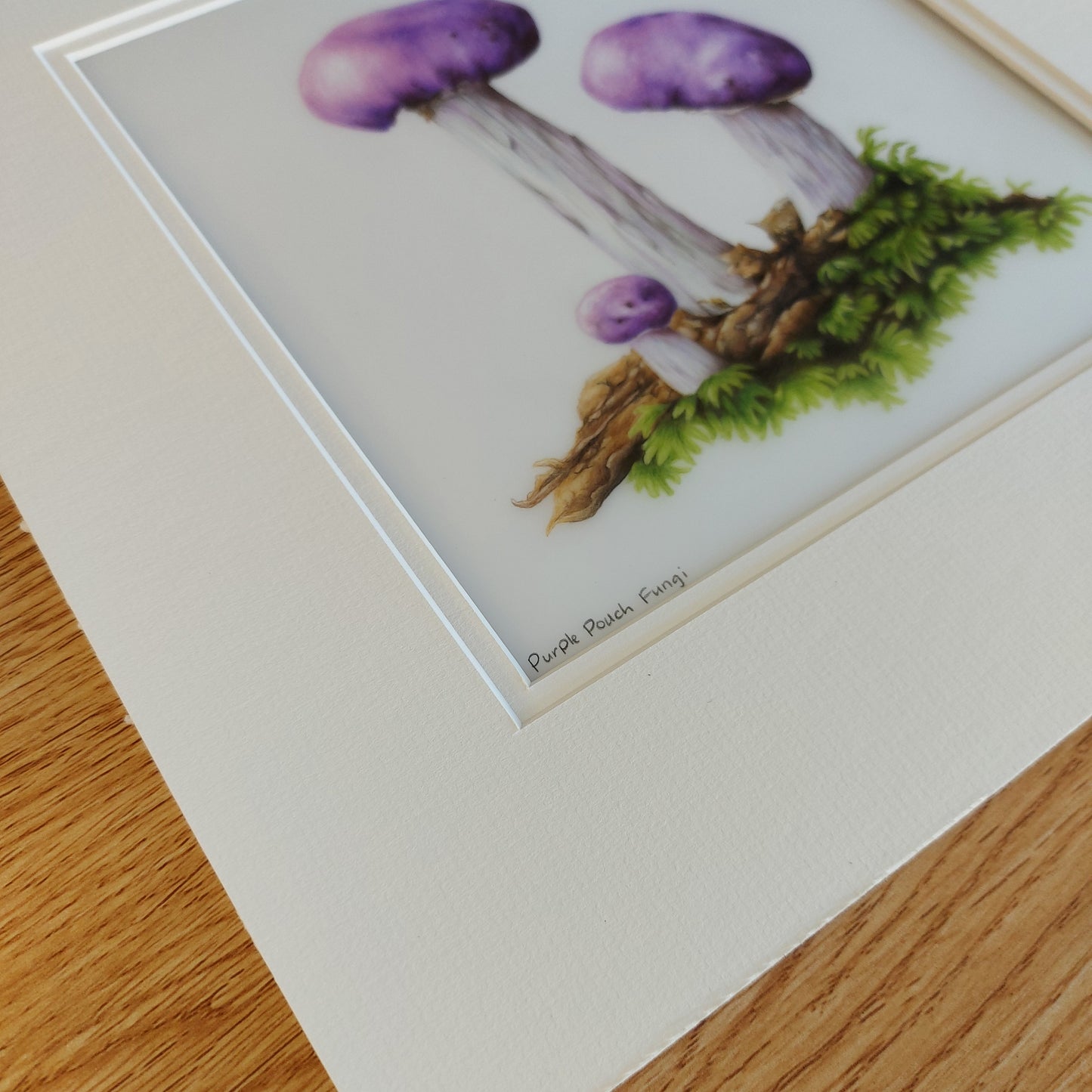 purple pouch fungi original pencil drawing
